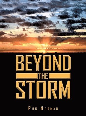 bokomslag Beyond The Storm