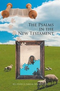 bokomslag The Psalms in the New Testament