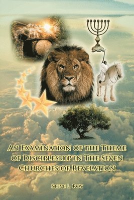 bokomslag Examination of the Theme of Discipleship in The Seven Churches of Revelation