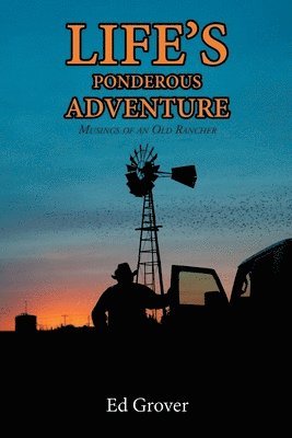 Life's Ponderous Adventure 1