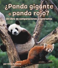 bokomslag ¿Panda Gigante O Panda Rojo? Un Libro de Comparaciones Y Contrastes: Giant Panda or Red Panda? a Compare and Contrast Book in Spanish