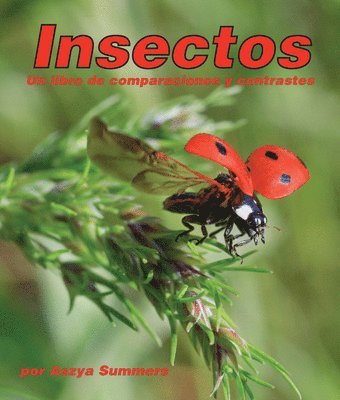 bokomslag Insectos: Un Libro de Comparaciones Y Contrastes