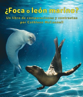 bokomslag ¿Foca O León Marino? Un Libro de Comparaciones Y Contrastes
