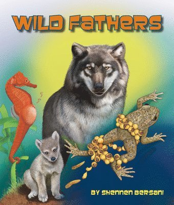 bokomslag Wild Fathers