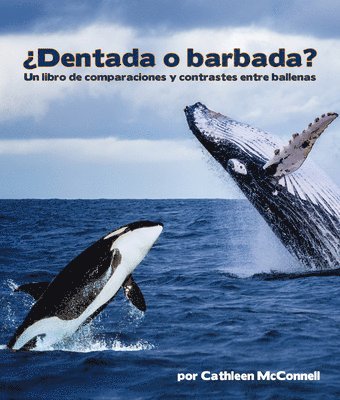 bokomslag ¿Dentada O Barbada? Un Libro de Comparaciones Y Contrastes Entre Ballenas