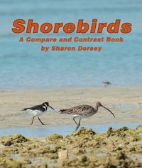 bokomslag Shorebirds
