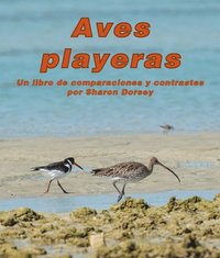 bokomslag Aves Playeras: Un Libro de Comparaciones Y Contrastes