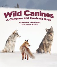 bokomslag Wild Canines