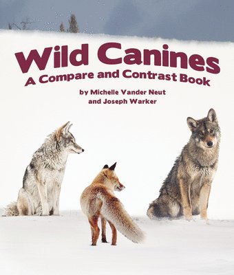 bokomslag Wild Canines