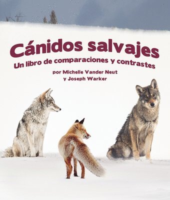 bokomslag Cánidos Salvajes: Un Libro de Comparaciones Y Contraste