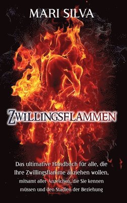 bokomslag Zwillingsflammen