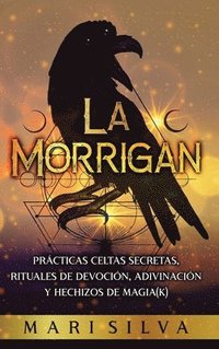 bokomslag La Morrigan