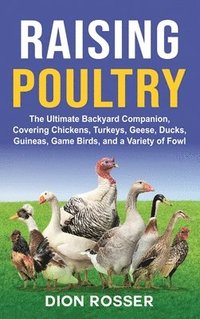 bokomslag Raising Poultry