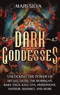 bokomslag Dark Goddesses