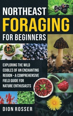 bokomslag Northeast Foraging for Beginners