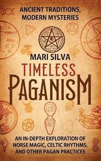 bokomslag Timeless Paganism