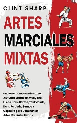 Artes Marciales Mixtas 1