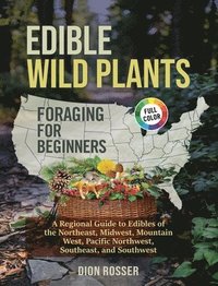 bokomslag Edible Wild Plants Foraging for Beginners