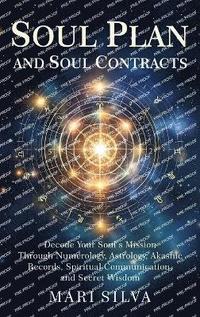bokomslag Soul Plan and Soul Contracts