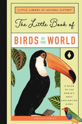 The Little Book of Birds of the World: A Guide to the World's Most Fascinating Birds 1
