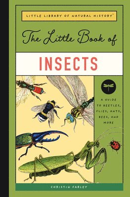 bokomslag Little Book Of Insects