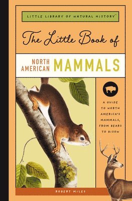 Robert Miles - Little Book of North American Mammals, Inbunden
