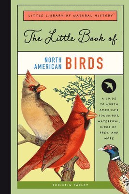 bokomslag Little Book Of North American Birds