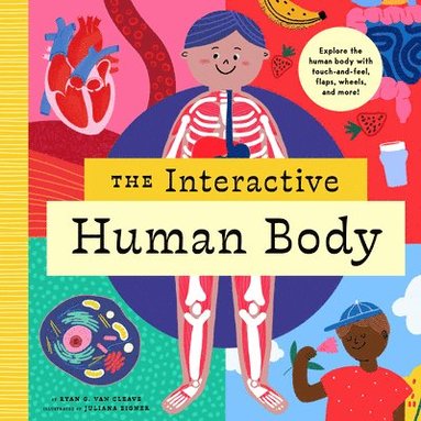 bokomslag Interactive Human Body