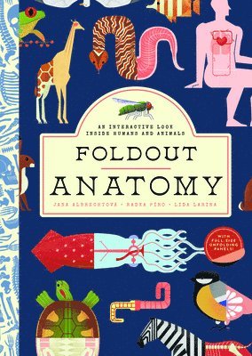 Foldout Anatomy 1