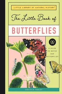 bokomslag The Little Book of Butterflies: A Guide to Moths and Butterflies