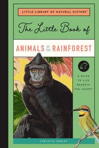 bokomslag The Little Book of Animals of the Rainforest