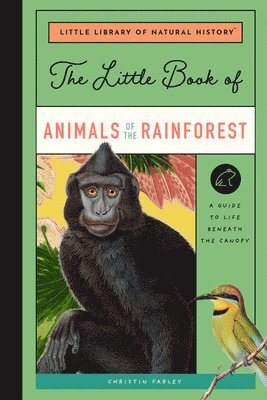 bokomslag The Little Book of Animals of the Rainforest: A Guide to Life in Earth's Most Diverse Ecosystem