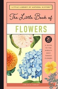 bokomslag The Little Book of Flowers: A Guide to the World's Most Famous Flowers