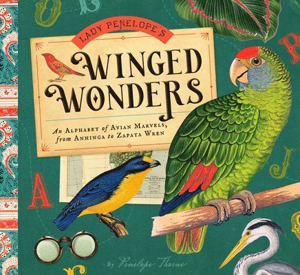 Lady Penelope's Winged Wonders: An Alphabet of Avian Marvels, from Anhinga to Zapata Wren 1