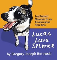 bokomslag Lucas Luvs Silence