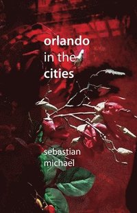 bokomslag Orlando in the Cities