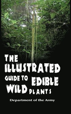bokomslag Illustrated Guide to Edible Wild Plants