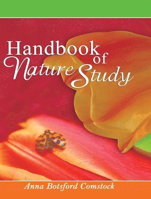 bokomslag Handbook of Nature Study