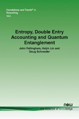 bokomslag Entropy, Double Entry Accounting and Quantum Entanglement