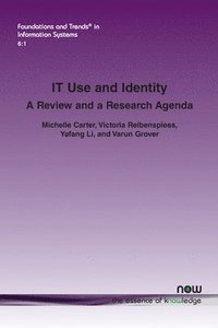 bokomslag It Use and Identity: A Review and a Research Agenda
