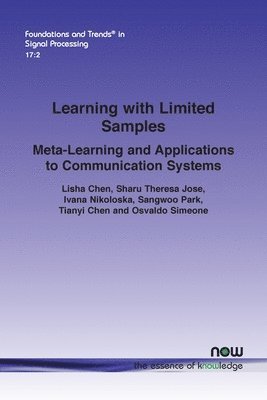 Learning with Limited Samples 1