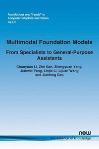 bokomslag Multimodal Foundation Models