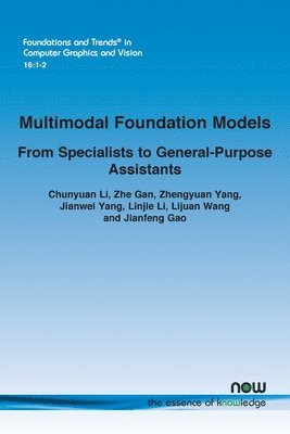 Multimodal Foundation Models 1