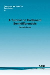 bokomslag A Tutorial on Hadamard Semidifferentials