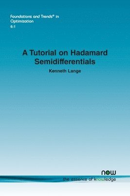 bokomslag A Tutorial on Hadamard Semidifferentials