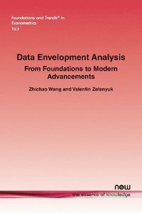 bokomslag Data Envelopment Analysis