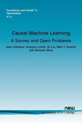 Jean Kaddour, Aengus Lynch, Aengus Lynch, Qi Liu - Causal Machine Learning: A Survey and Open Problems, Häftad