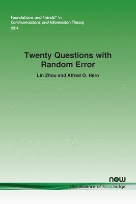 bokomslag Twenty Questions with Random Error
