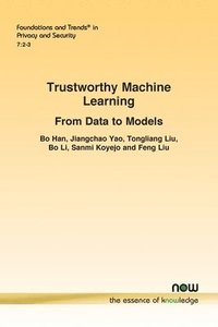 bokomslag Trustworthy Machine Learning: From Data to Models