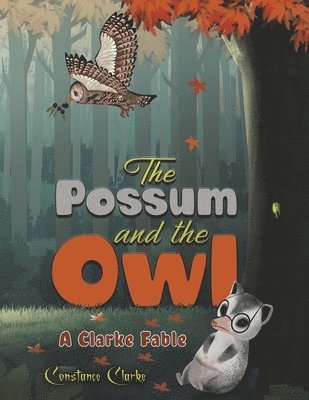 bokomslag Possum and the Owl